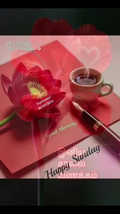@Sai Meena