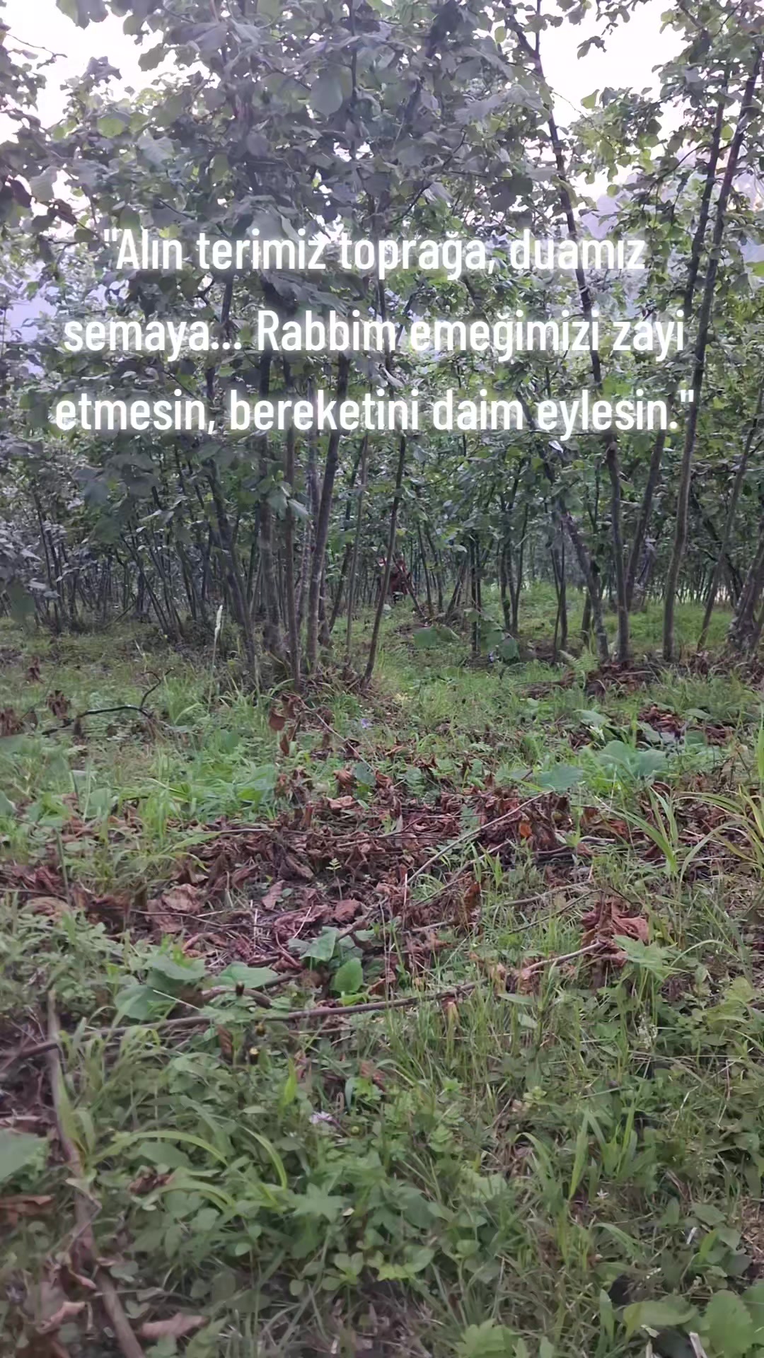 @💕Mustafa💋Yasemin💕