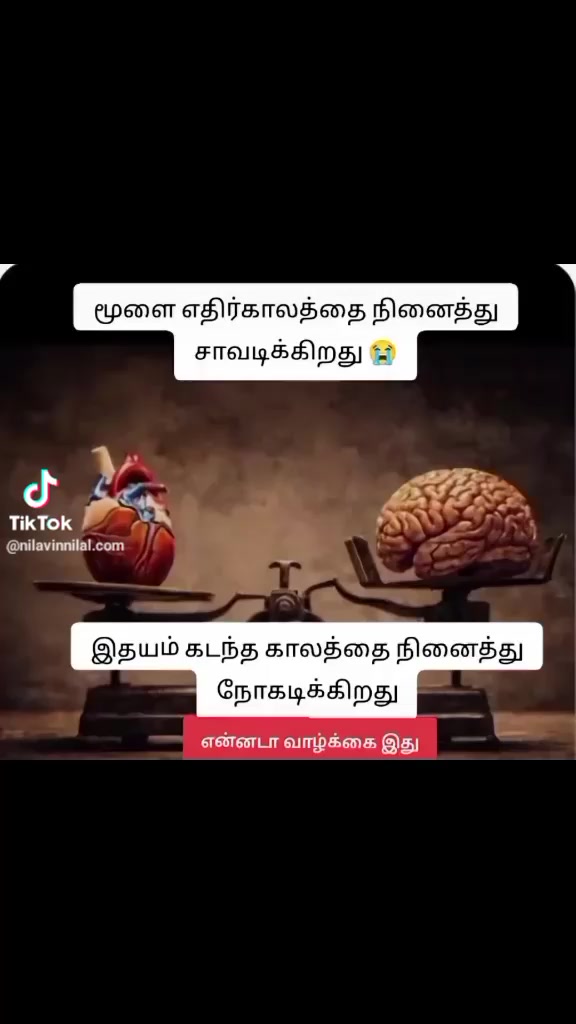 @Zeenath
