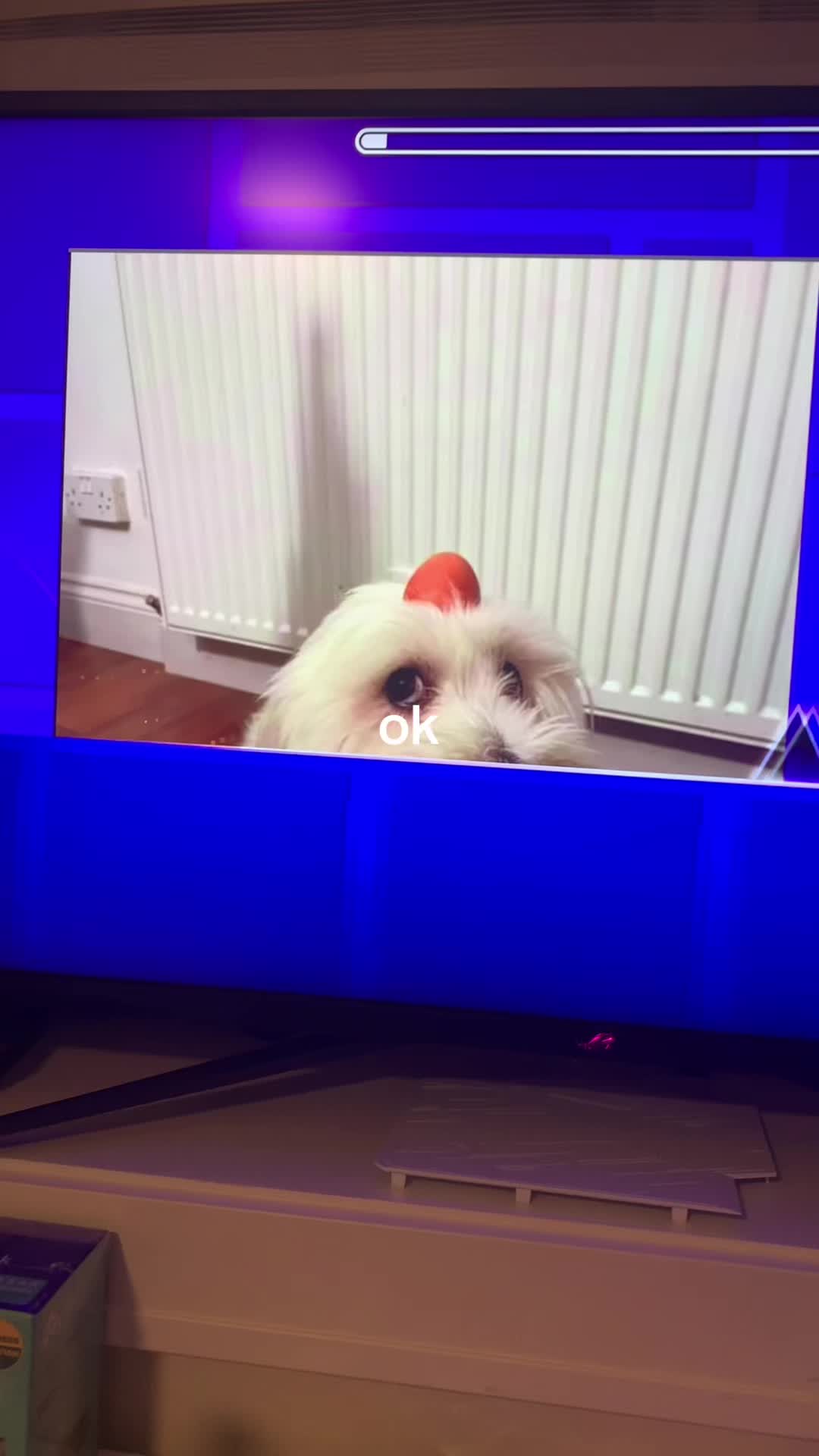 @MobileObbyPlayer20
