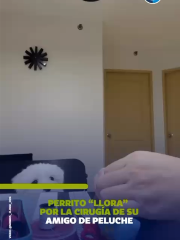 @EjeCentral