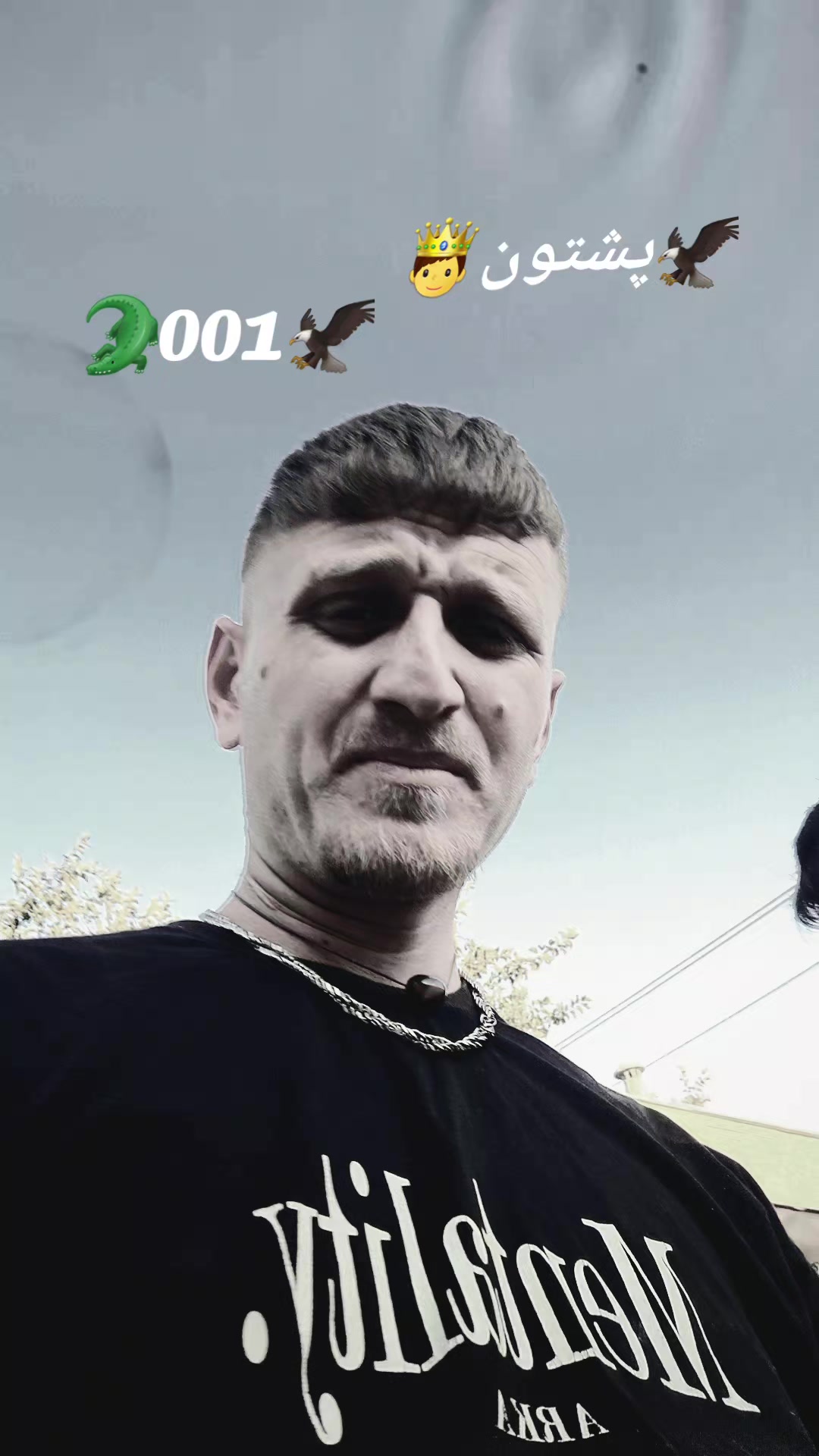@🦅سلیم🦁خامار🐊مبارز👑