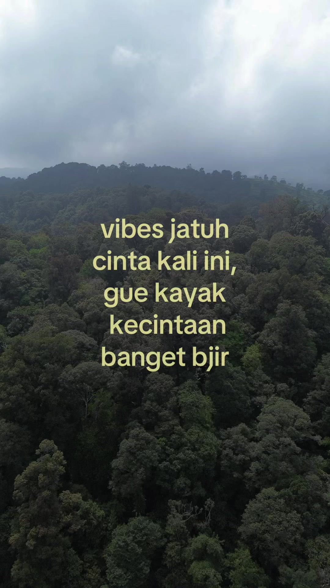 @𝗗𝗶𝗮𝗻𝘆