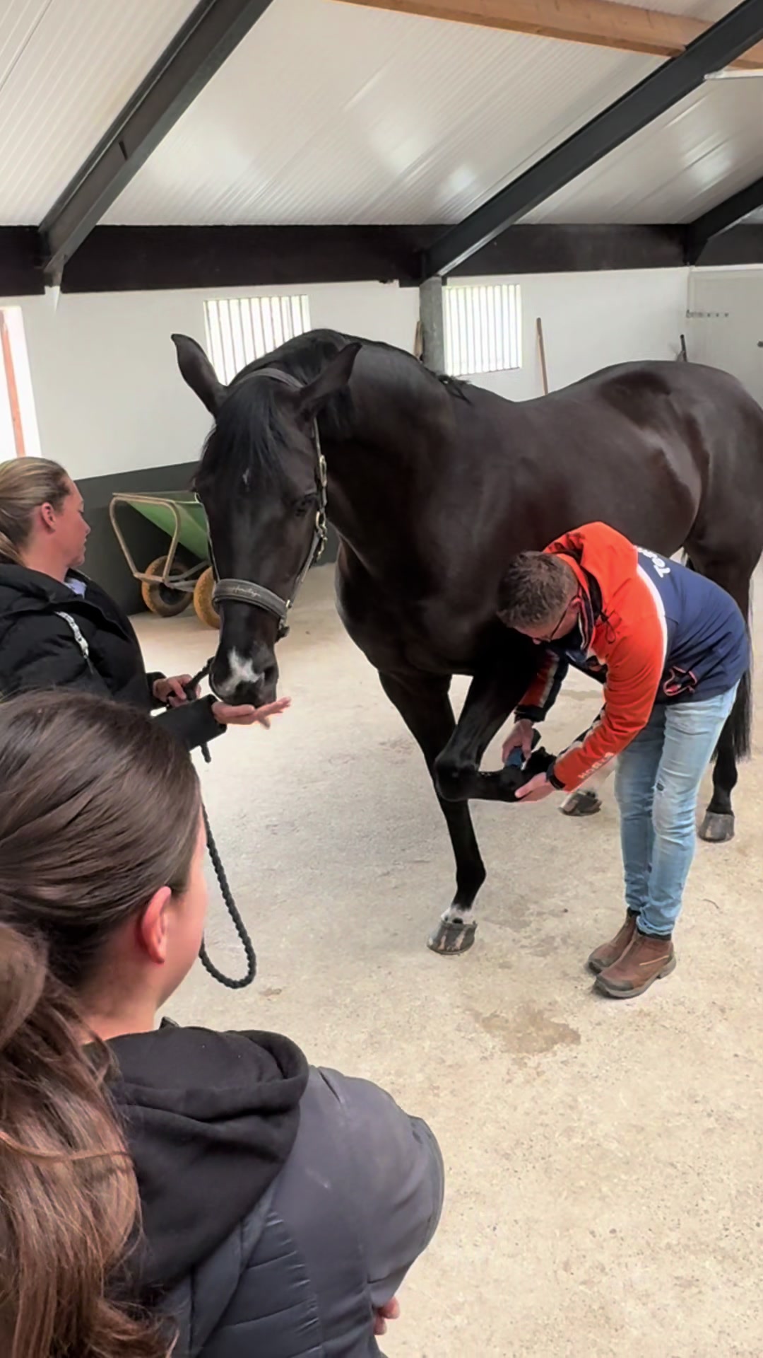 @Aeres Hippisch Centrum