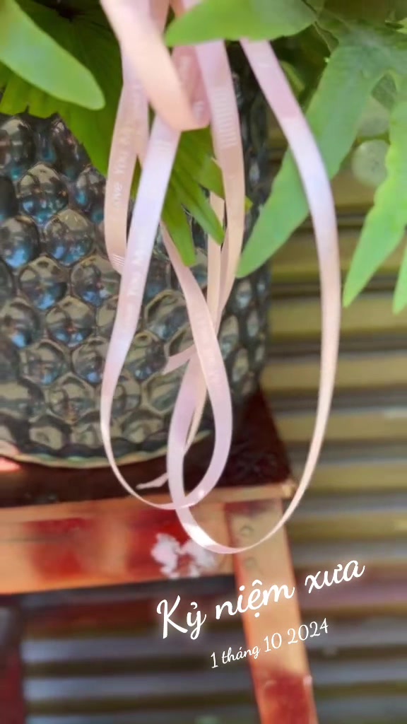 @Chú Hậu Tiệm Hoa Bình Dương