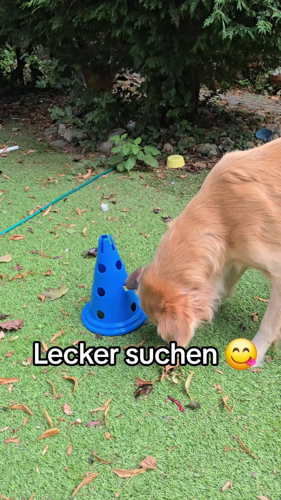 @Fellnasen WG