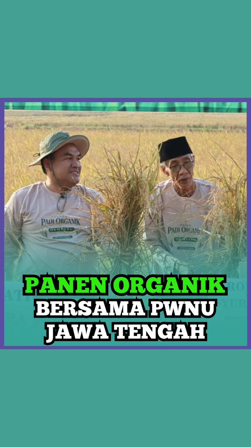 @Arief Rohman
