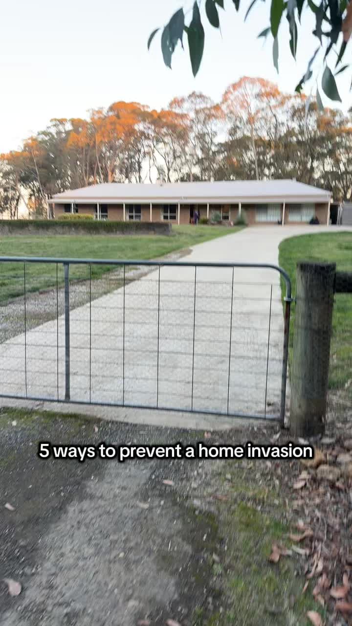 @roverfromthearea