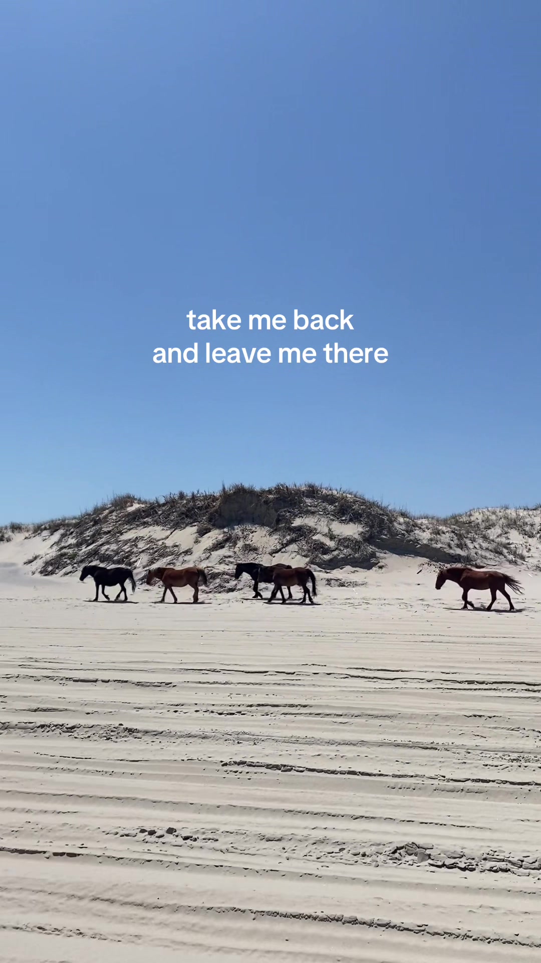 @Twiddy OBX