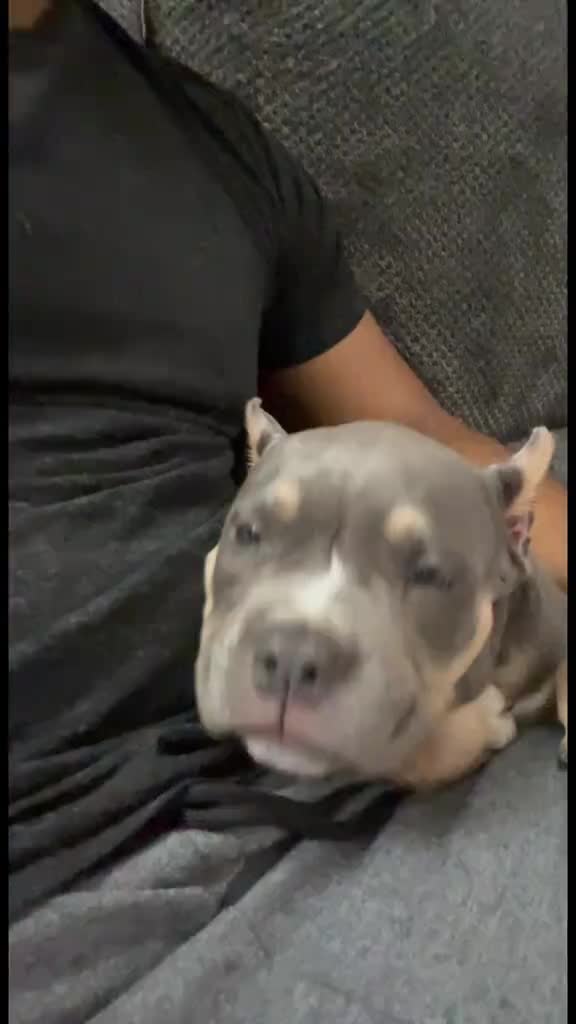 @AJ