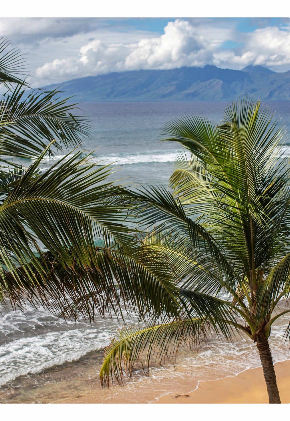 @TAY 𖤓 MAUI PHOTOGRAPHER