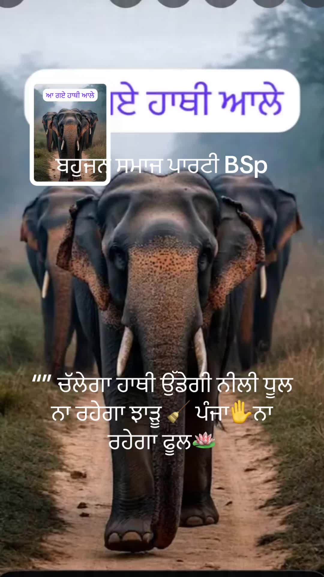@globalbaba07