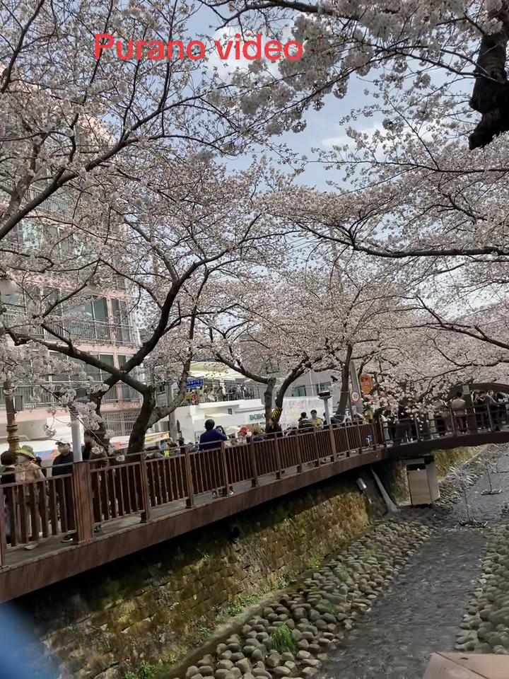 @Syangtan Ronzy🧿🍀🫰
