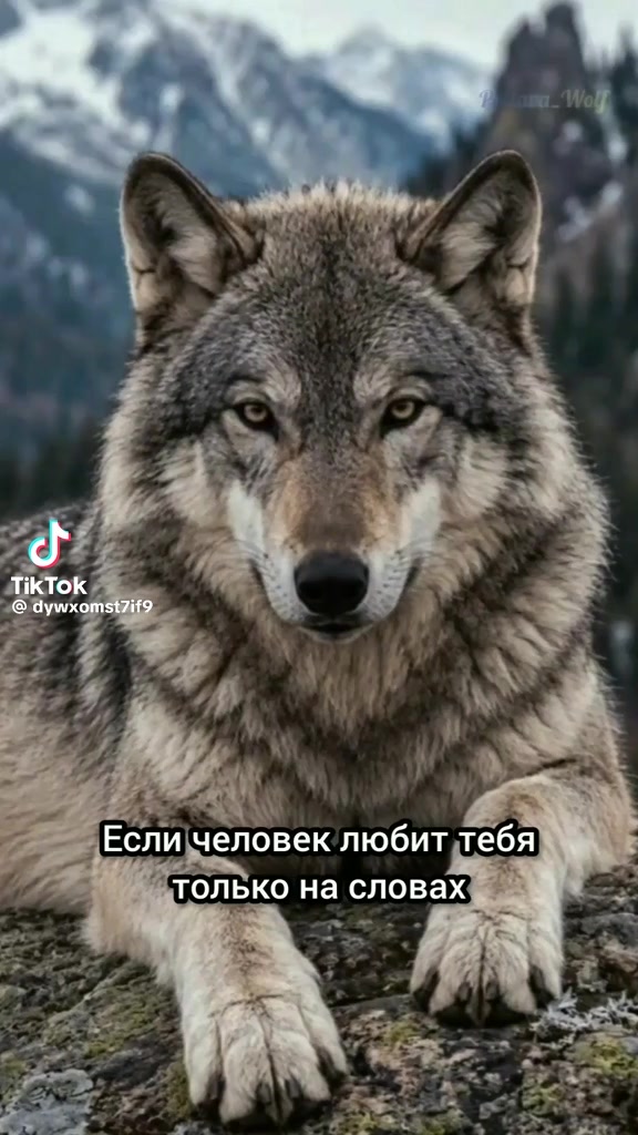 @Lilit999โ๏ธ๐ฆ๐ฒ๐ฌ๐ท