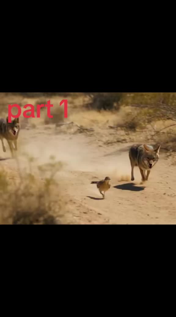 @user729737714920