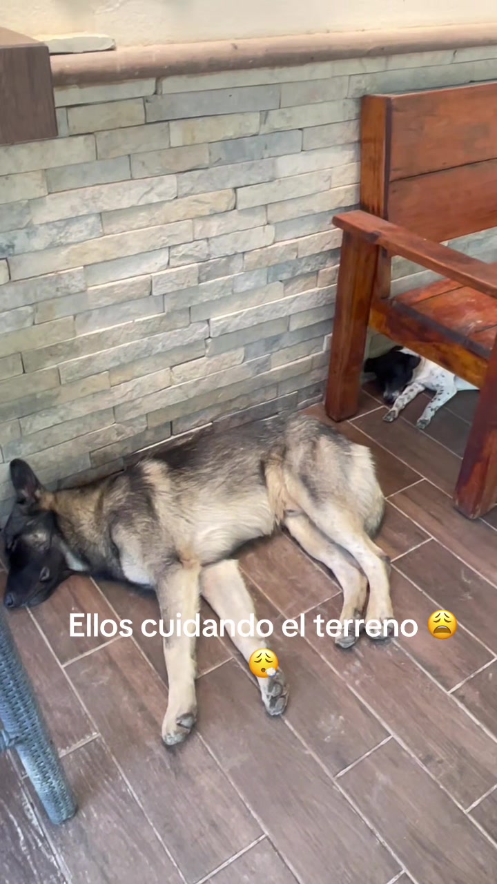 @Texazz🇲🇽