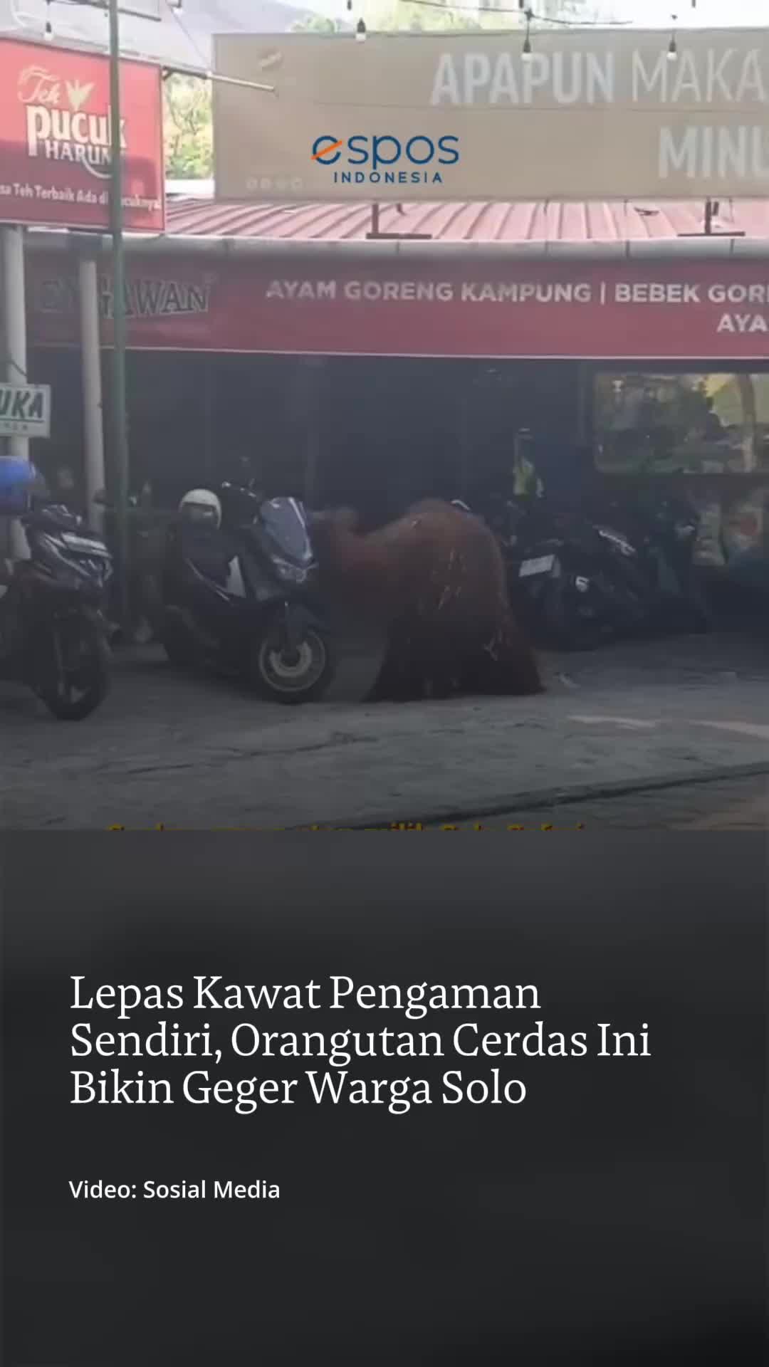 @mongabayindonesia