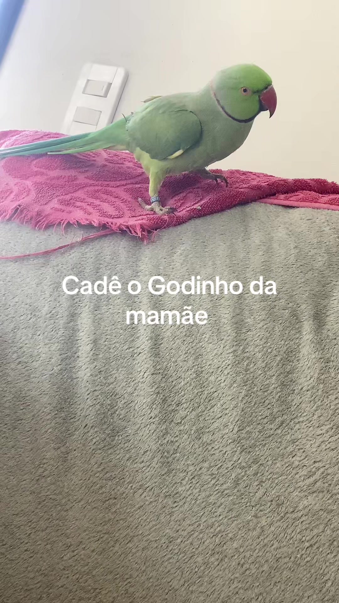 @Preta_🩷💙