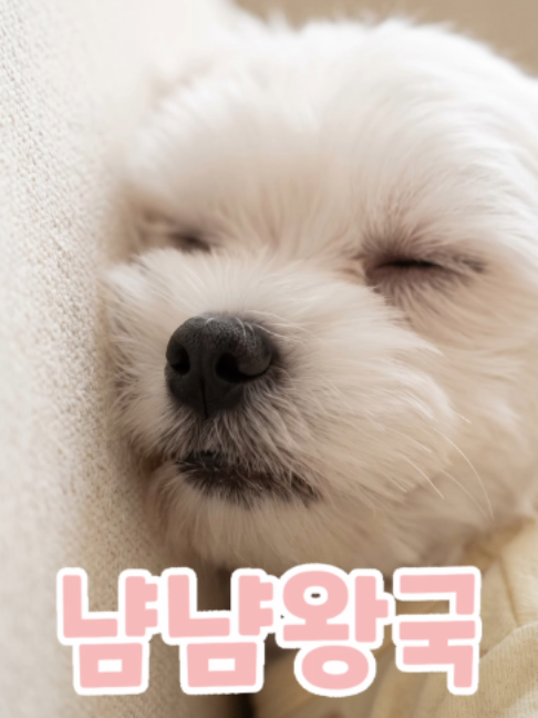 @냠냠왕국