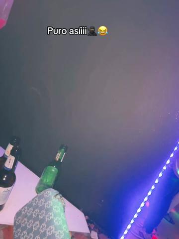 @💙🐬