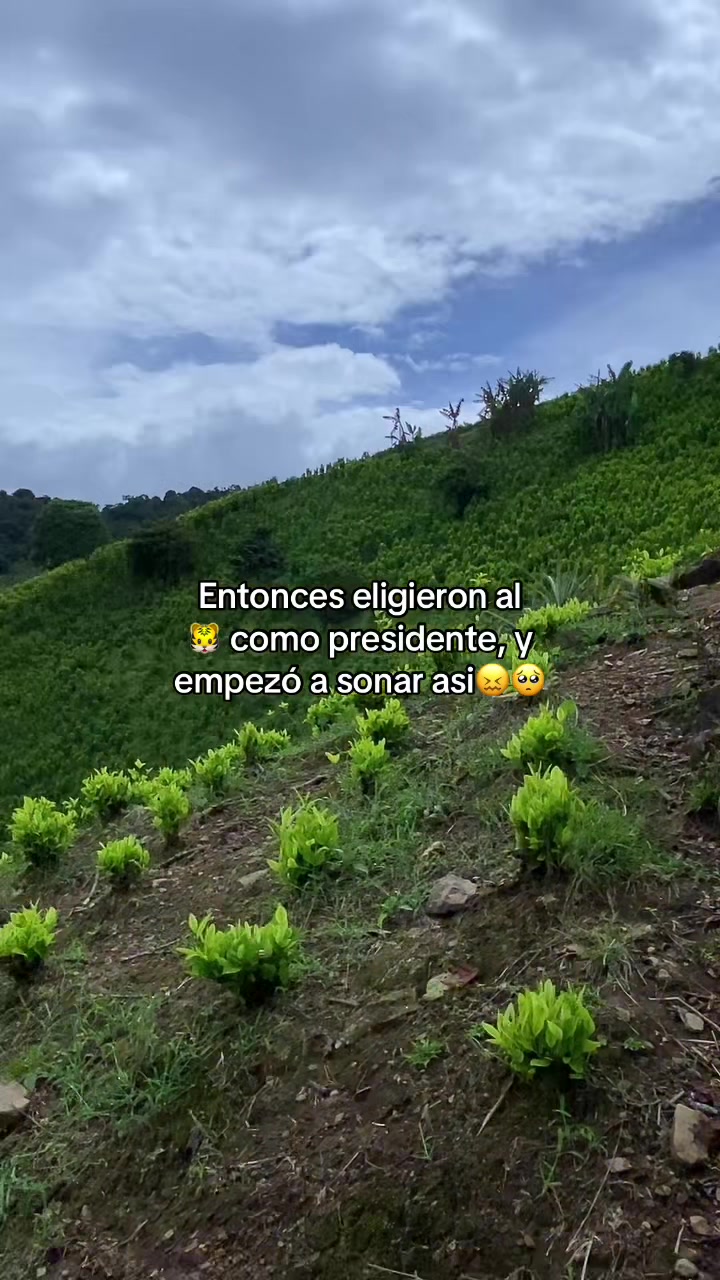 @yeraltijaro🤠🌿 🇨🇴
