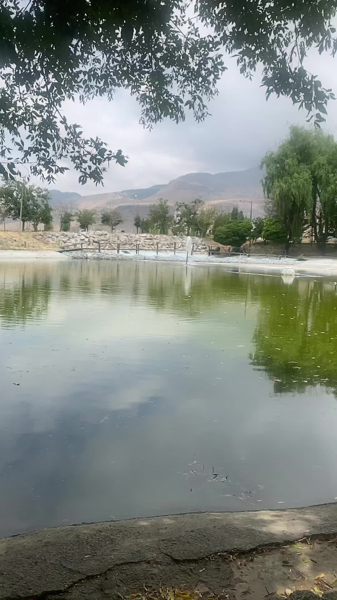 @cebraildogmuş