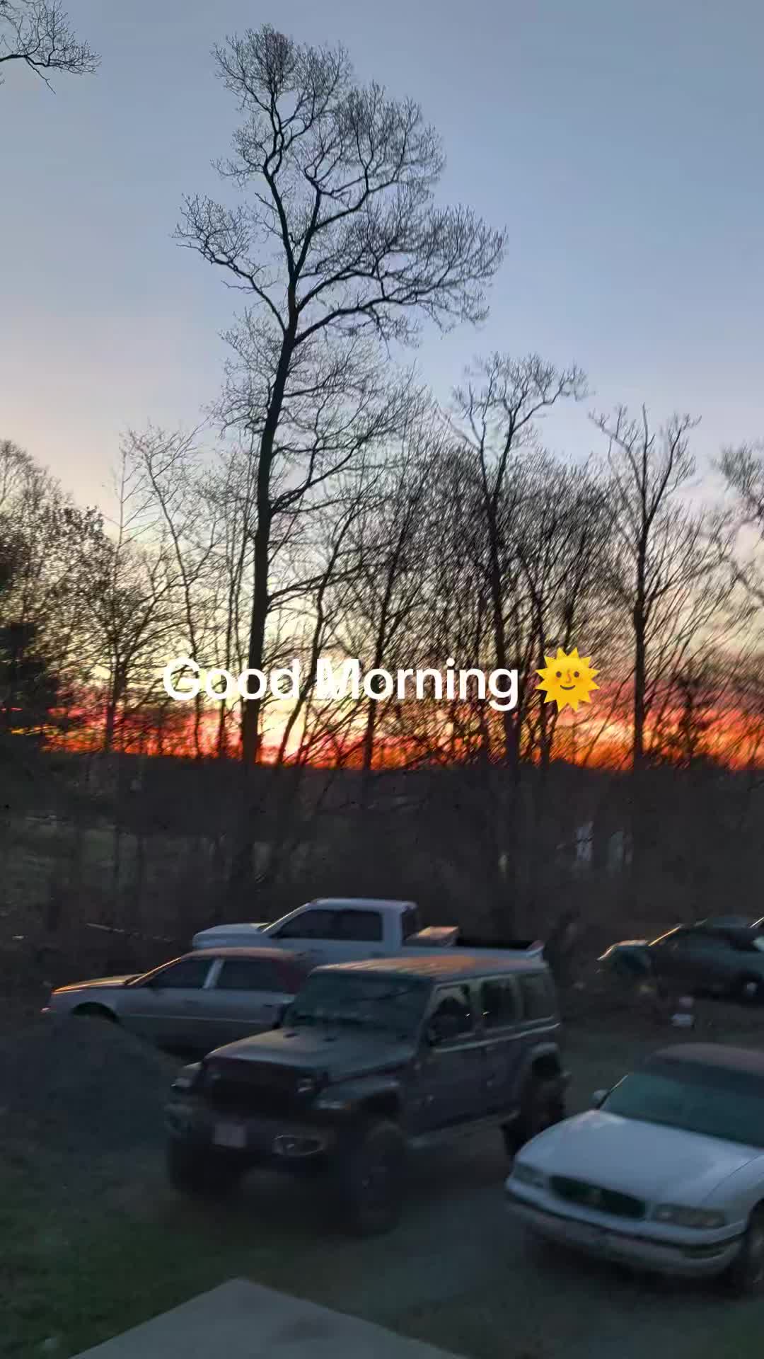 @Nicole 🌻🖤💜
