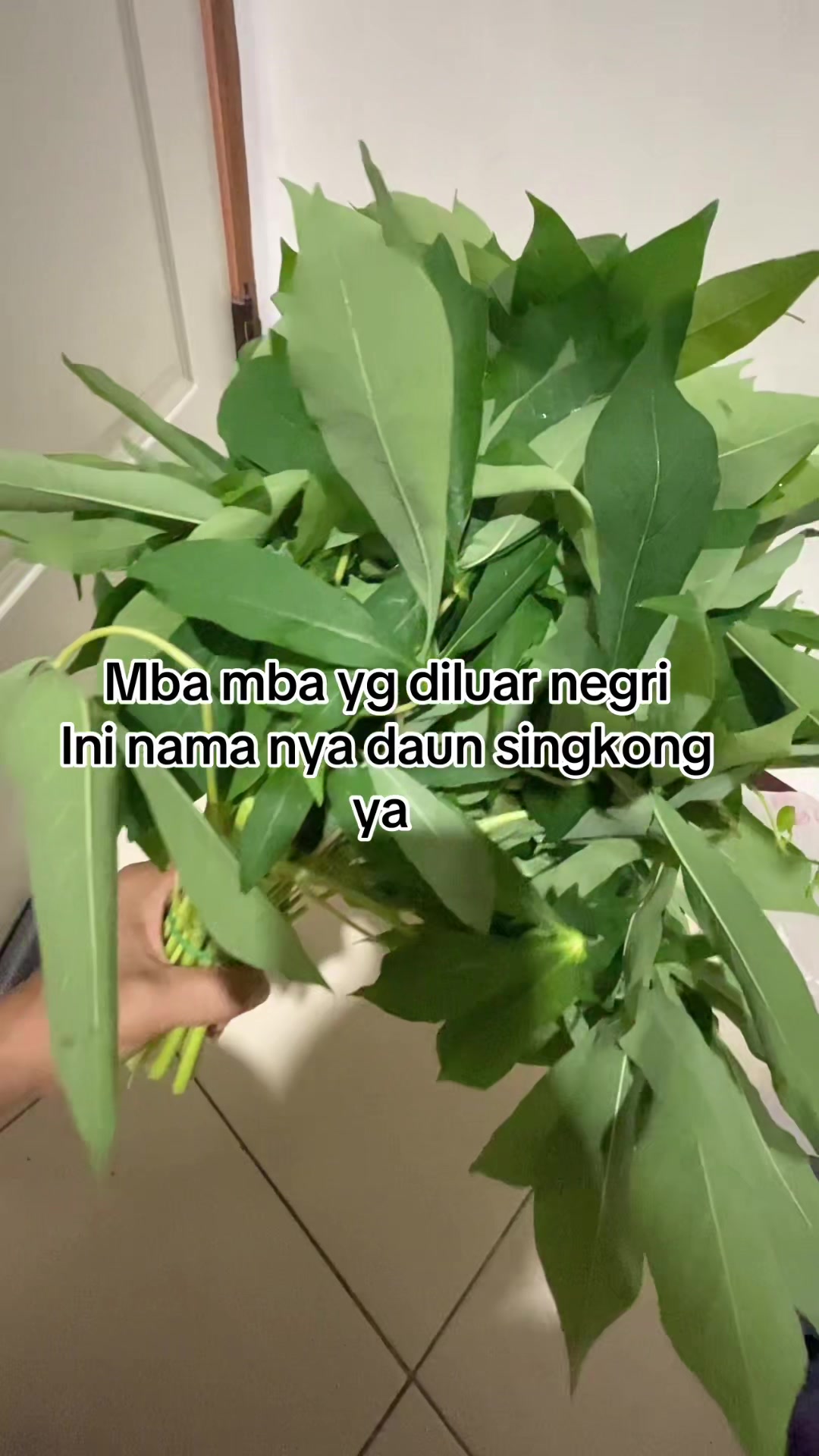 @V-!!aa🧚👀👩⚕️