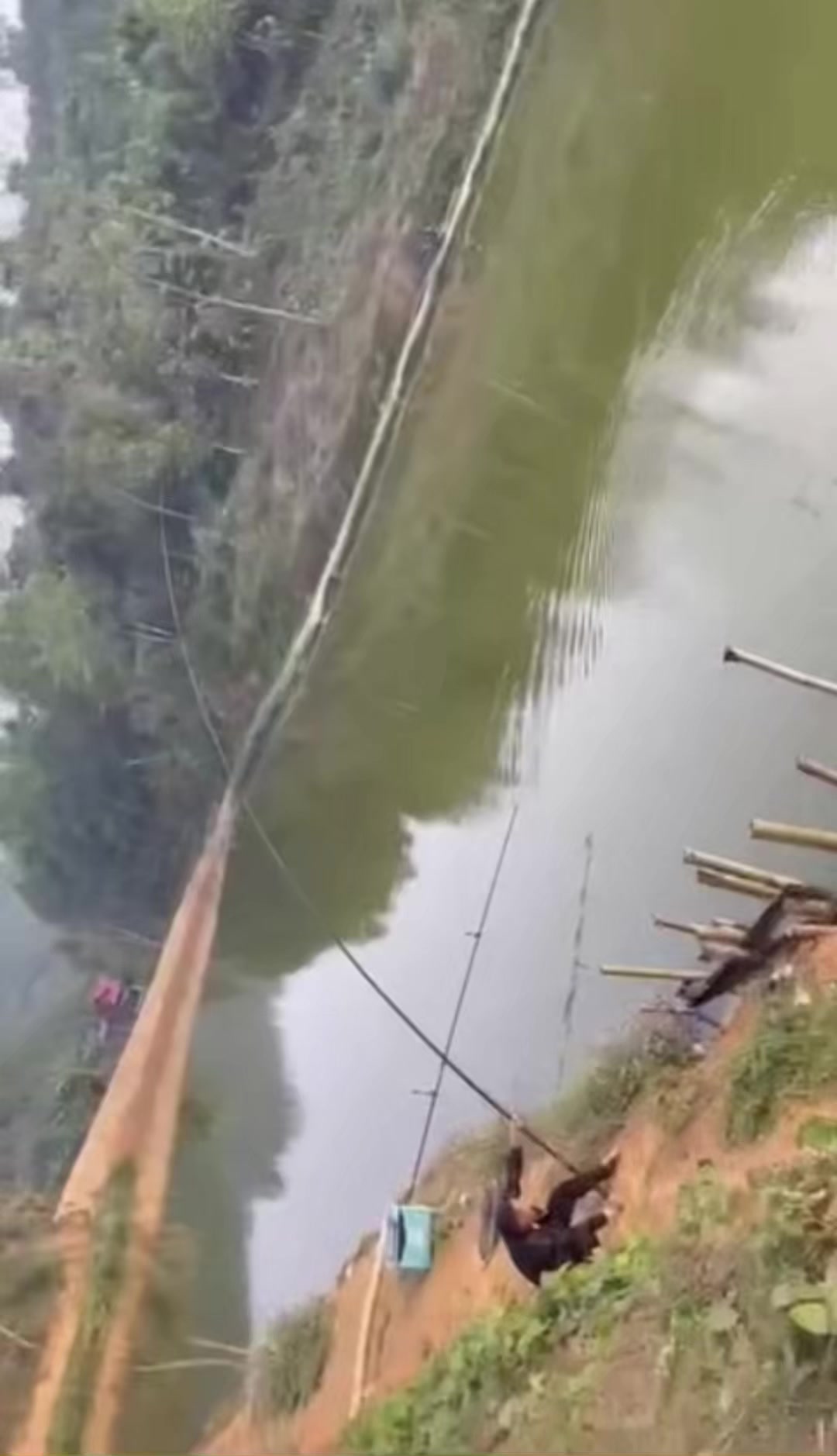 @Đồ câu nga hoàng
