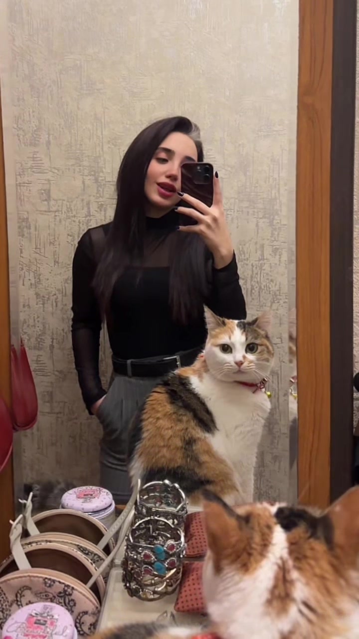 @royysa1