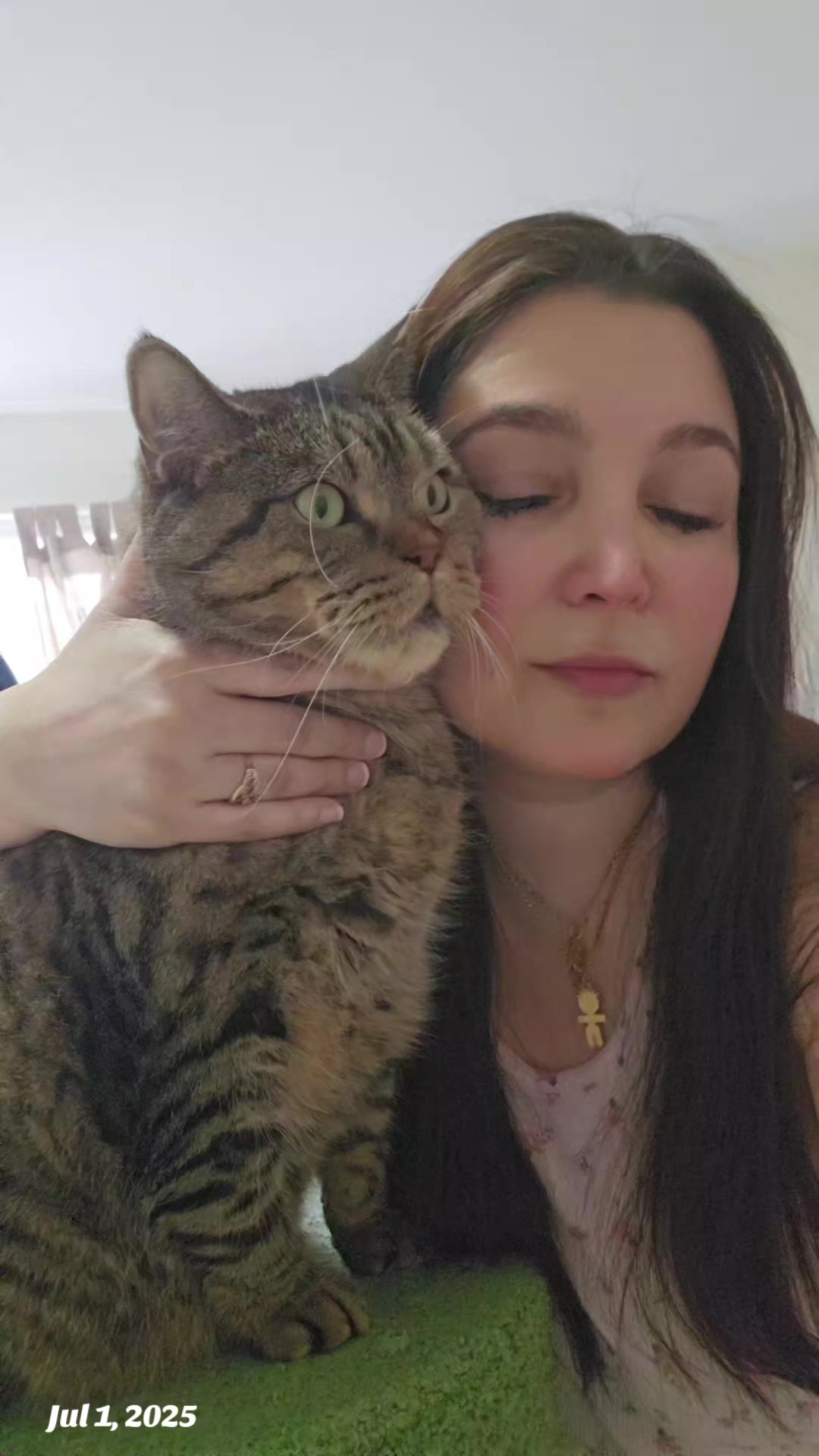 @wonderwoman Cats