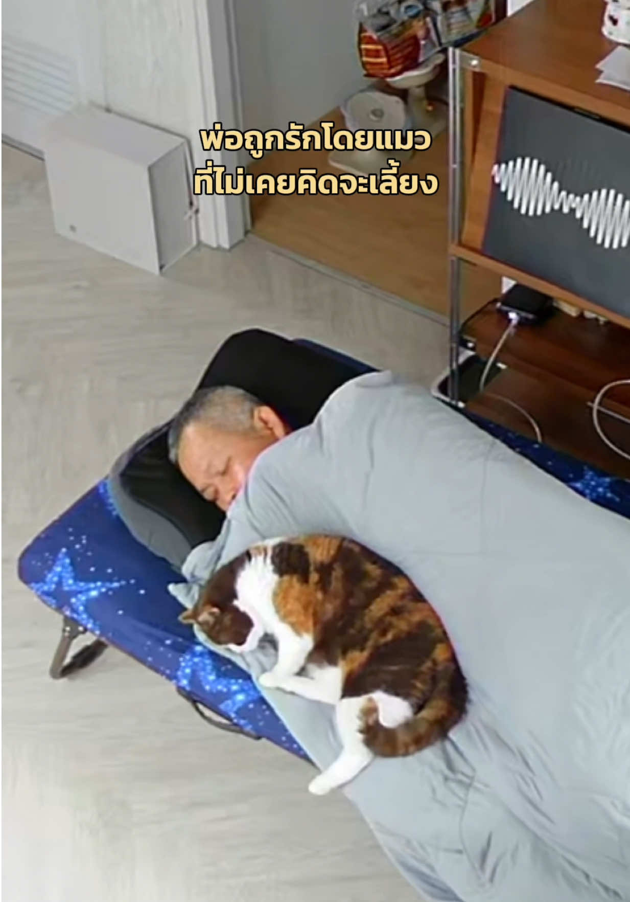 @ชิเอลแมวมึน 😺