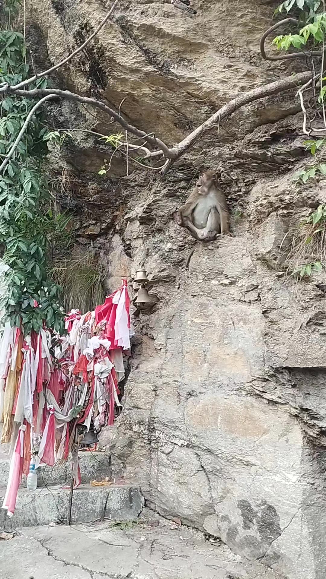 @दीपक
