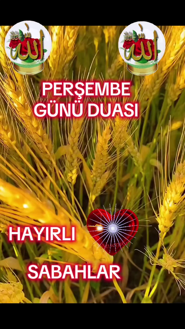 @NAKŞİ💚🕊💚AİLESİ🌹EMİNE🌹