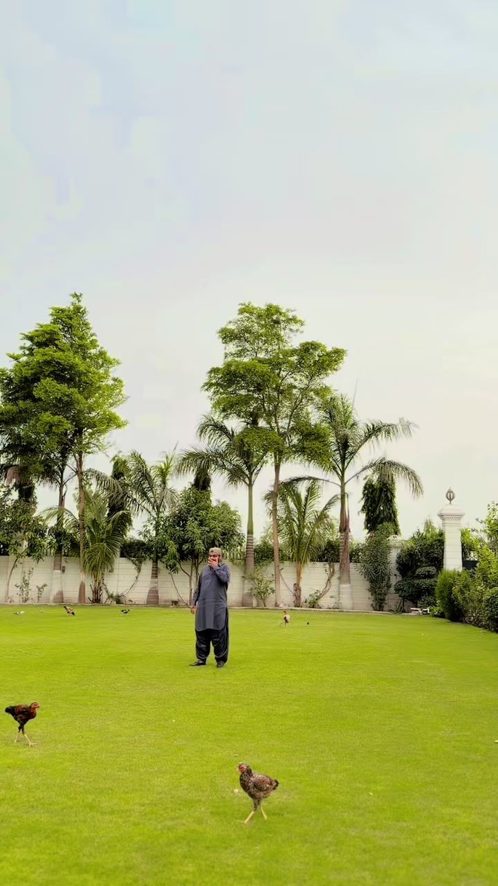 @Darya Khan Mari