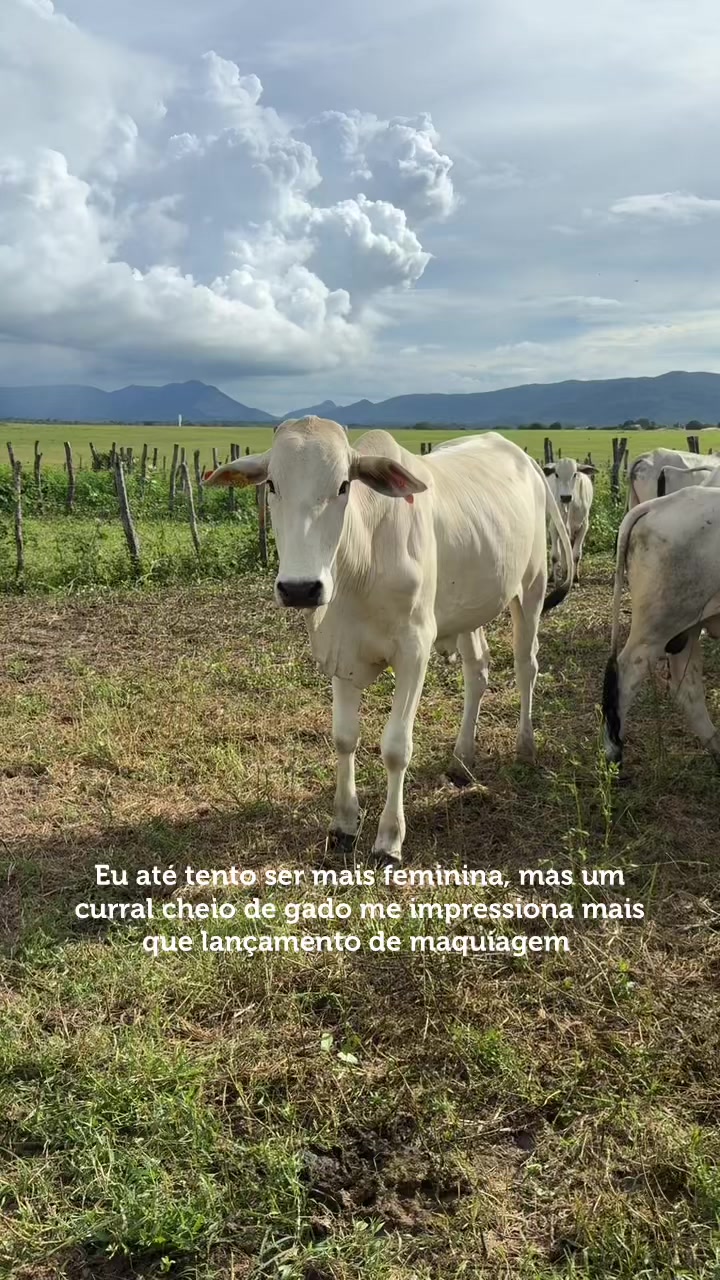 @Maria Giovanna