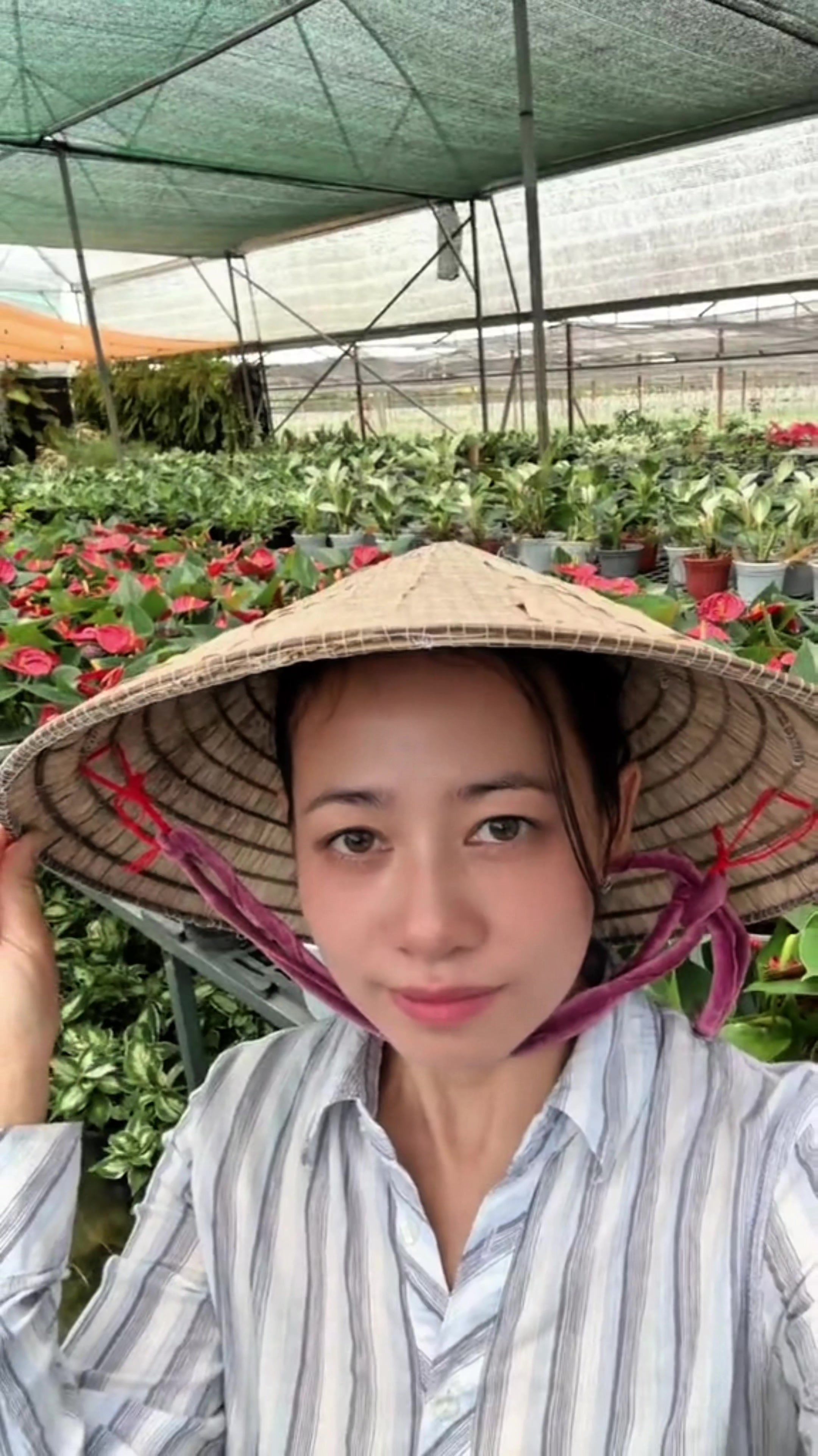 @Vườn Hồ H&acirc;n