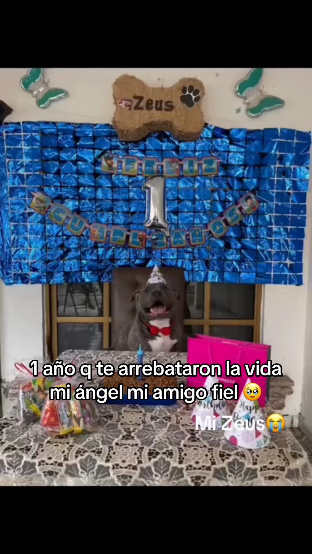 @VaneHdz