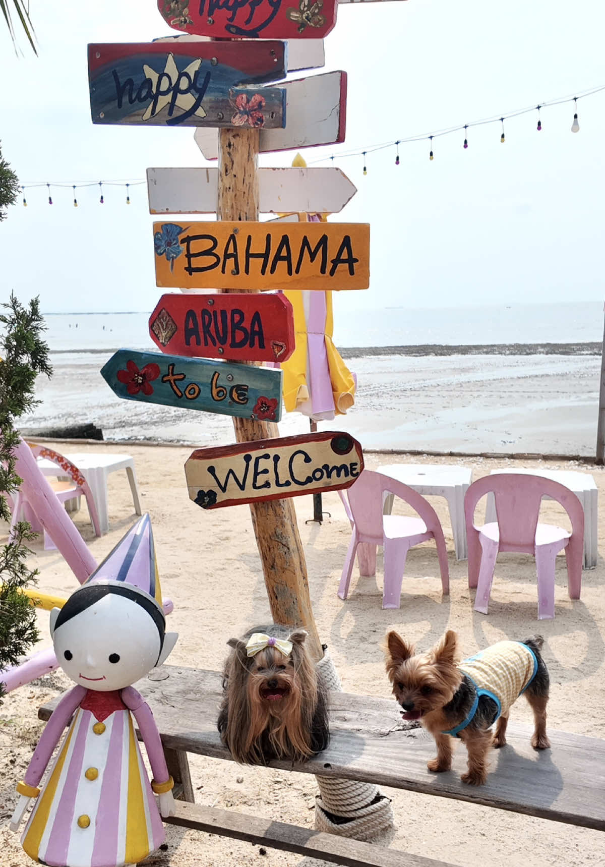 @พี่ขุงขิง & น้องโคโค่ 🐶💕