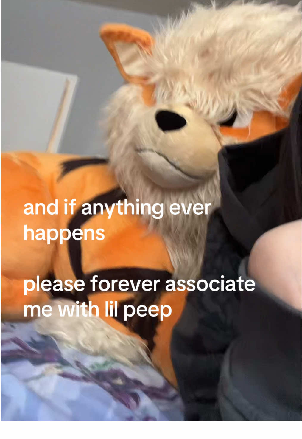 @ulqu ૮ ˙Ⱉ˙ ა