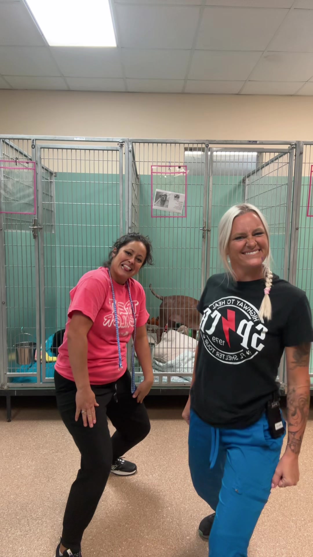@2vettechs