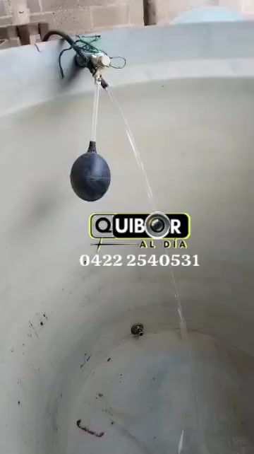 @Quiboraldia
