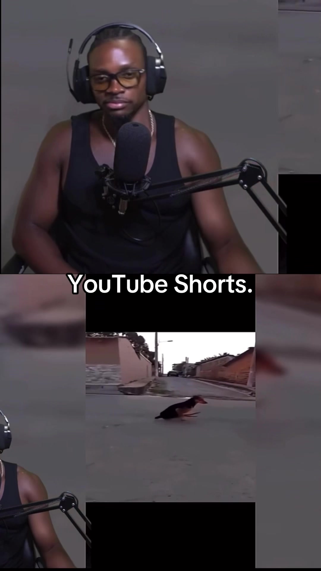@Twitch-Taileons