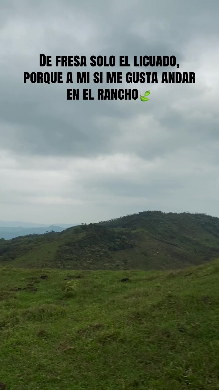 @️Karol