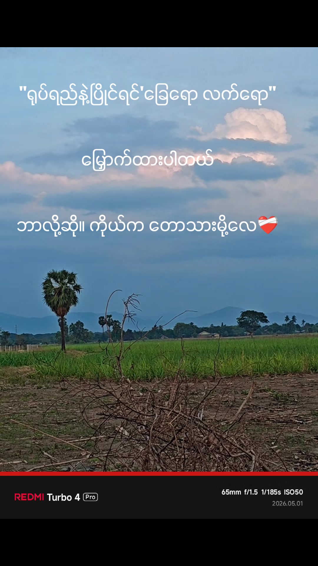 @သိမ်းငှက်🦅