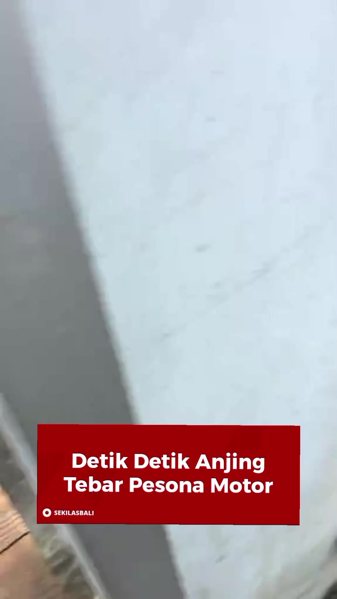 @Sekilas Bali