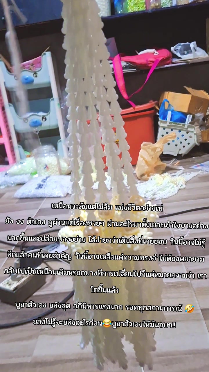 @🌸Am_2536🌸