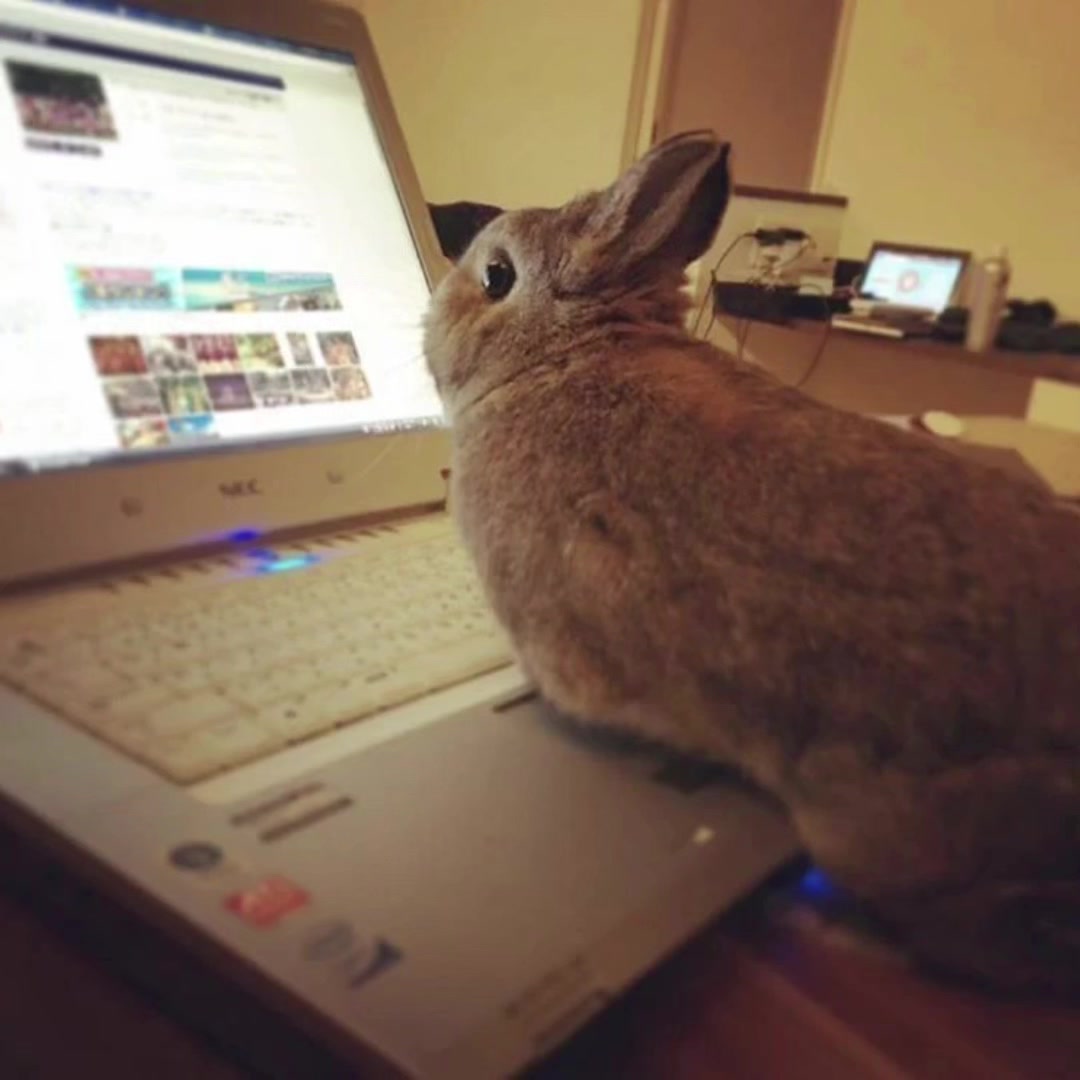 @๐ฟ๐๐๐๐๐๐๐๐๐๐ ๐ฏ .แโธโธ