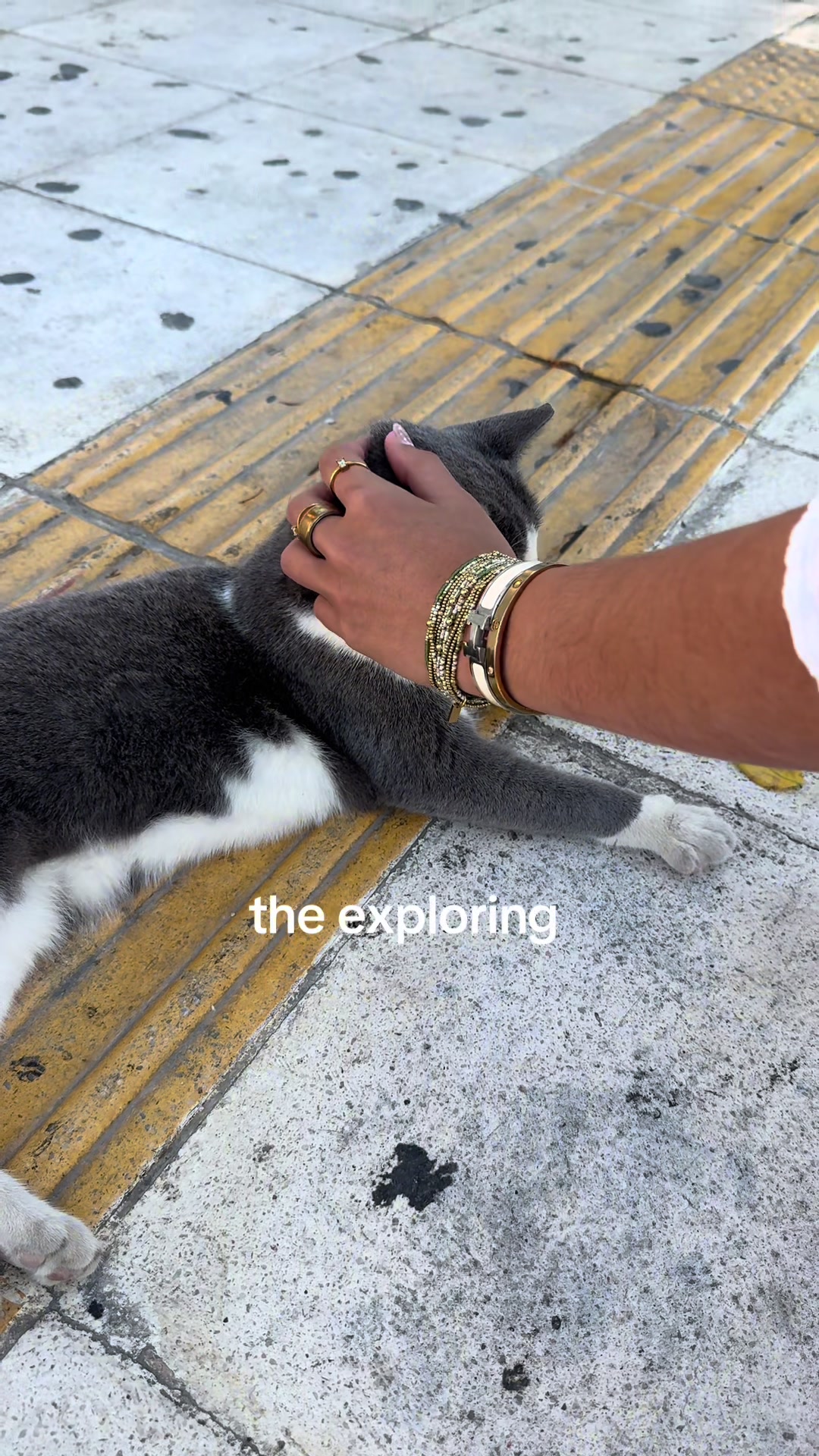 @Amanda🦦