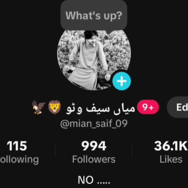 @میاں سیف وٹو 🦁🦅